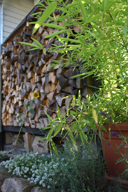 Wand aus Brennholzscheiten als Sicht- und Windschutz